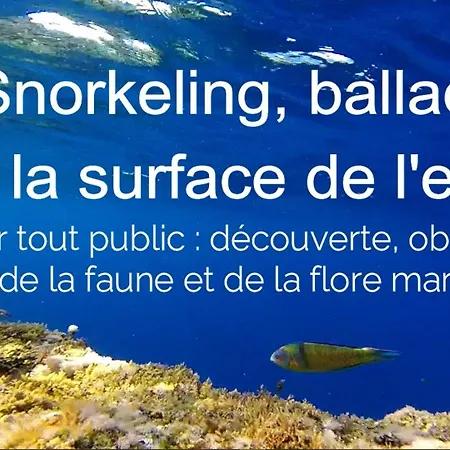 Gozo Freediving Dojo Homestay szállás *