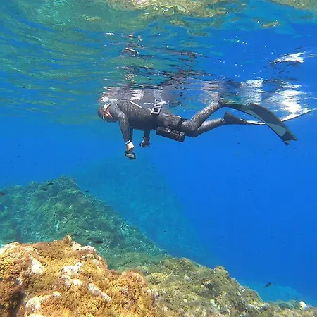 Gozo Freediving Dojo *