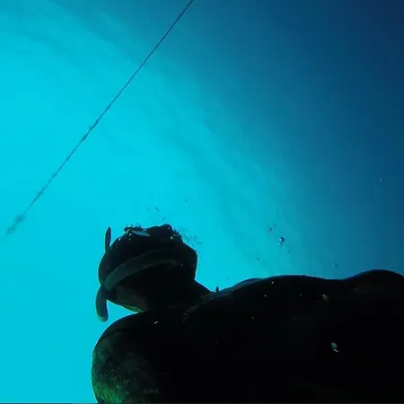 Gozo Freediving Dojo