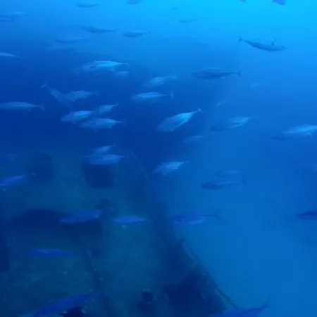 Homestay szállás Gozo Freediving Dojo Xagħra